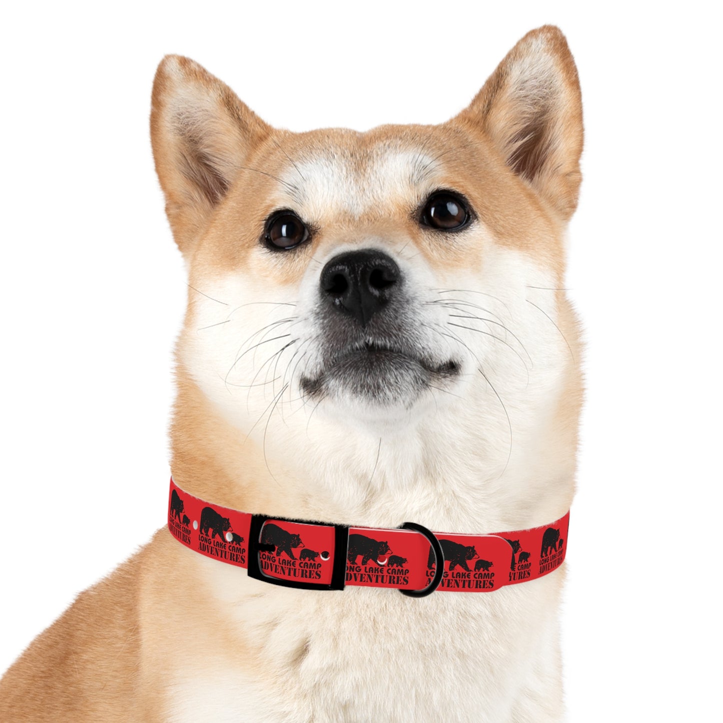 Adventure Dog Collar
