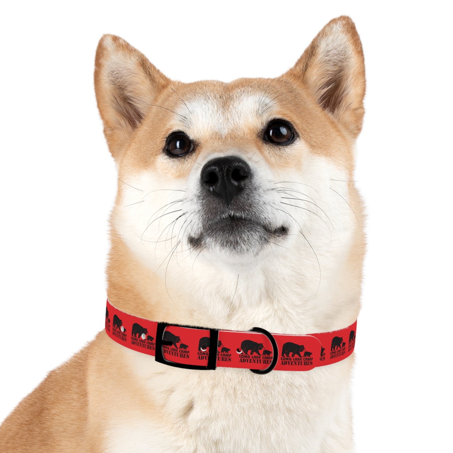 Adventure Dog Collar