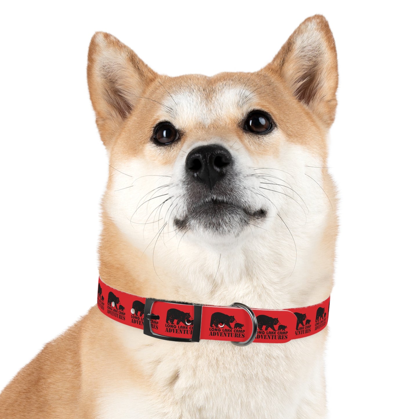 Adventure Dog Collar