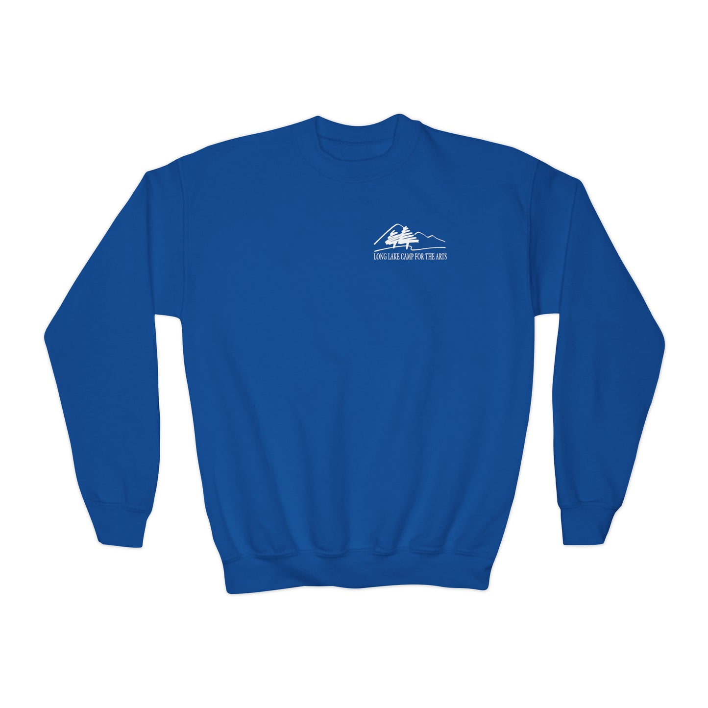 Arts Youth Sized Unisex Crewneck Sweatshirt (Select Color)
