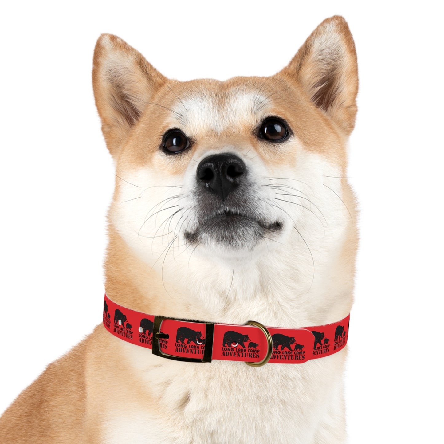 Adventure Dog Collar