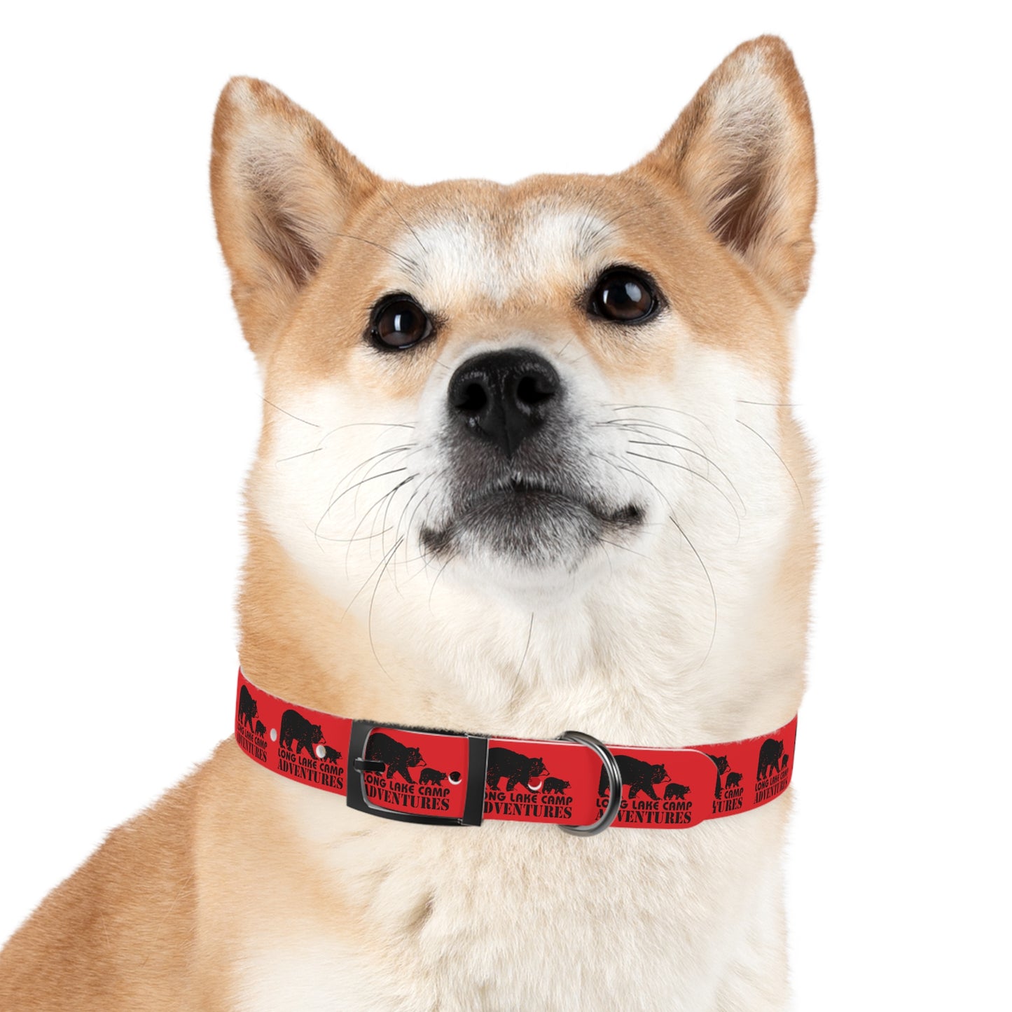 Adventure Dog Collar