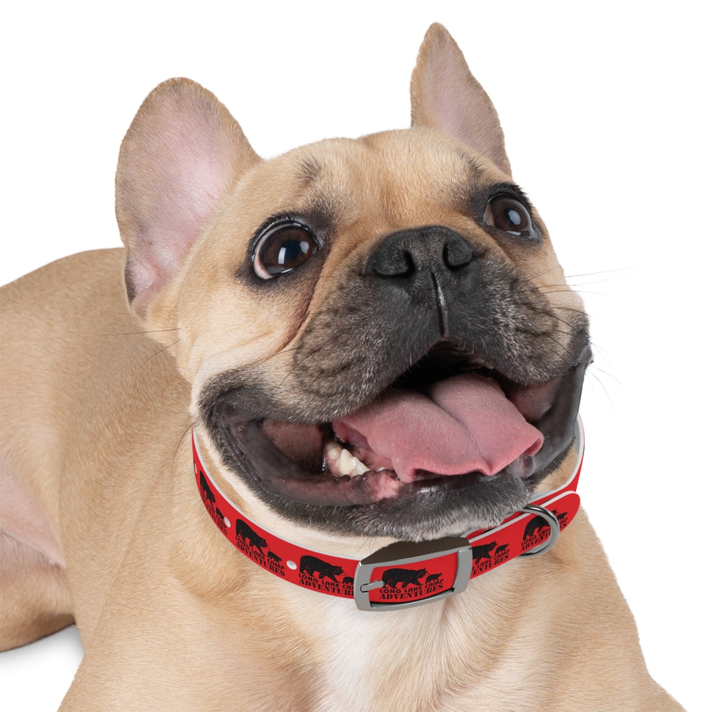 Adventure Dog Collar